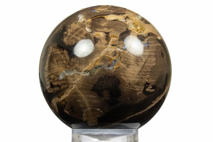 Polished Petrified Wood Sphere - Oregon #308264